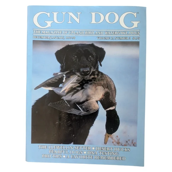 Bundle of 4 Vintage Gun Dog Magazines - 1993/1997/1998 - Picture 3 of 4